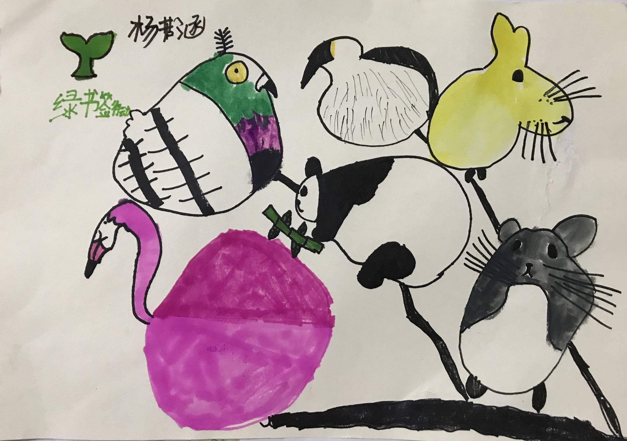 杨若涵
