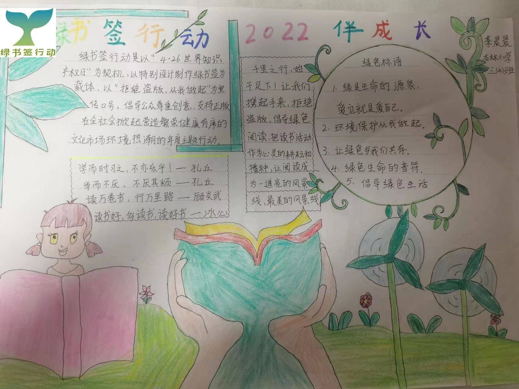 李晨晨