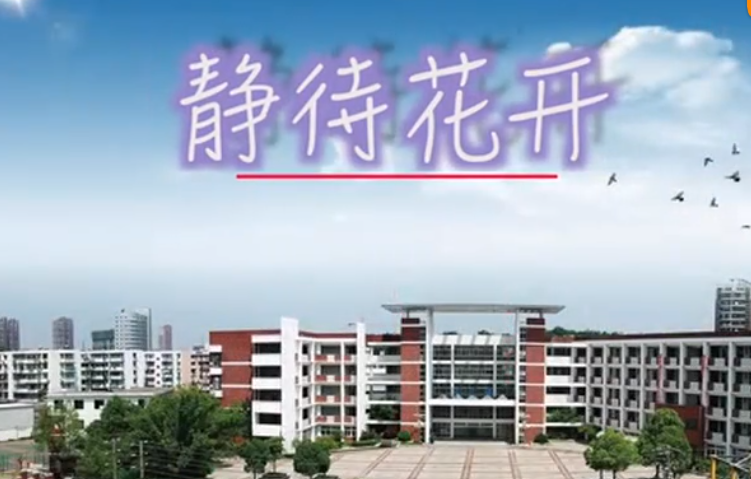 《静待花开》安师大附中
