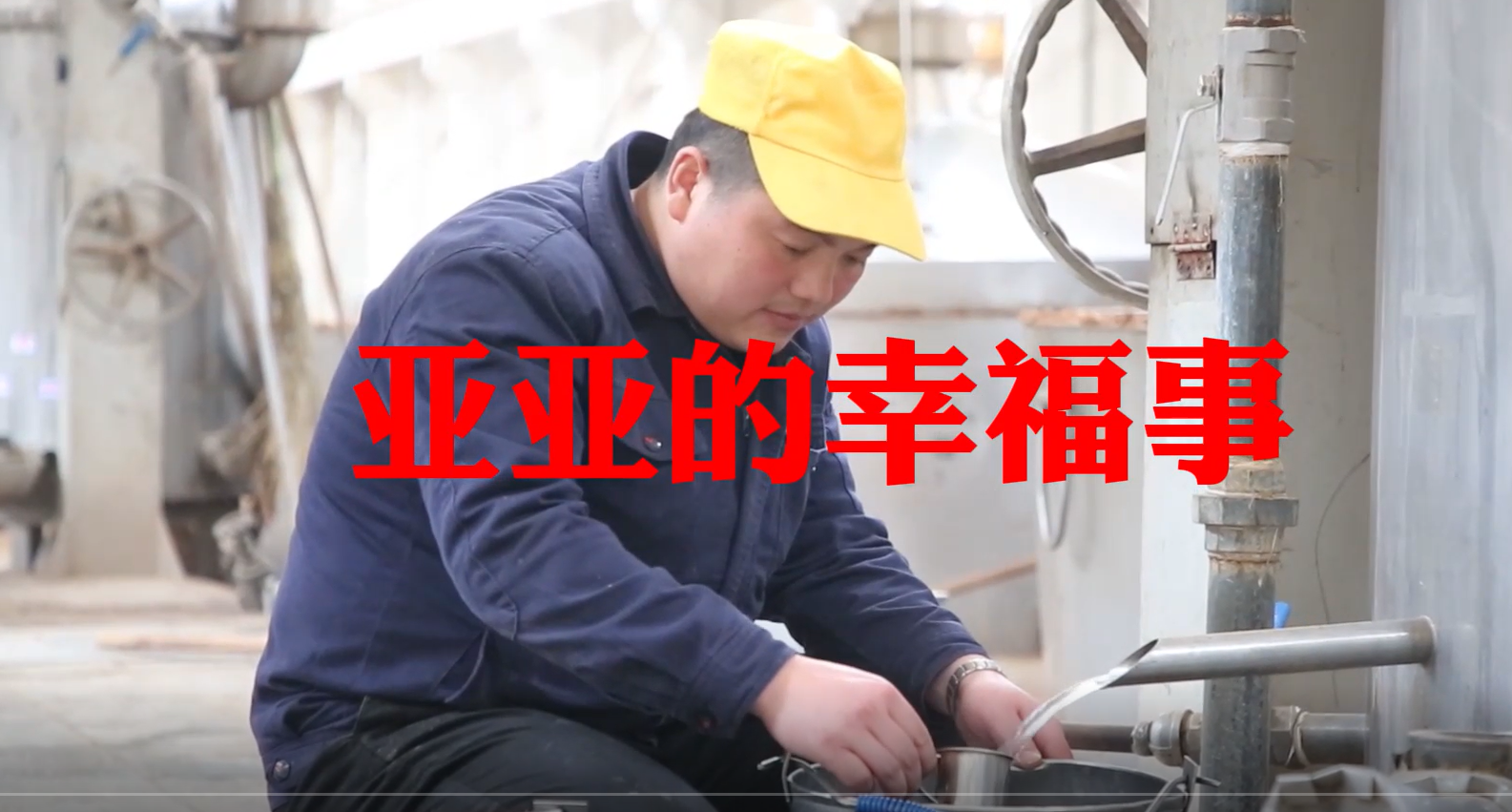 《亚亚的幸福事》李浩