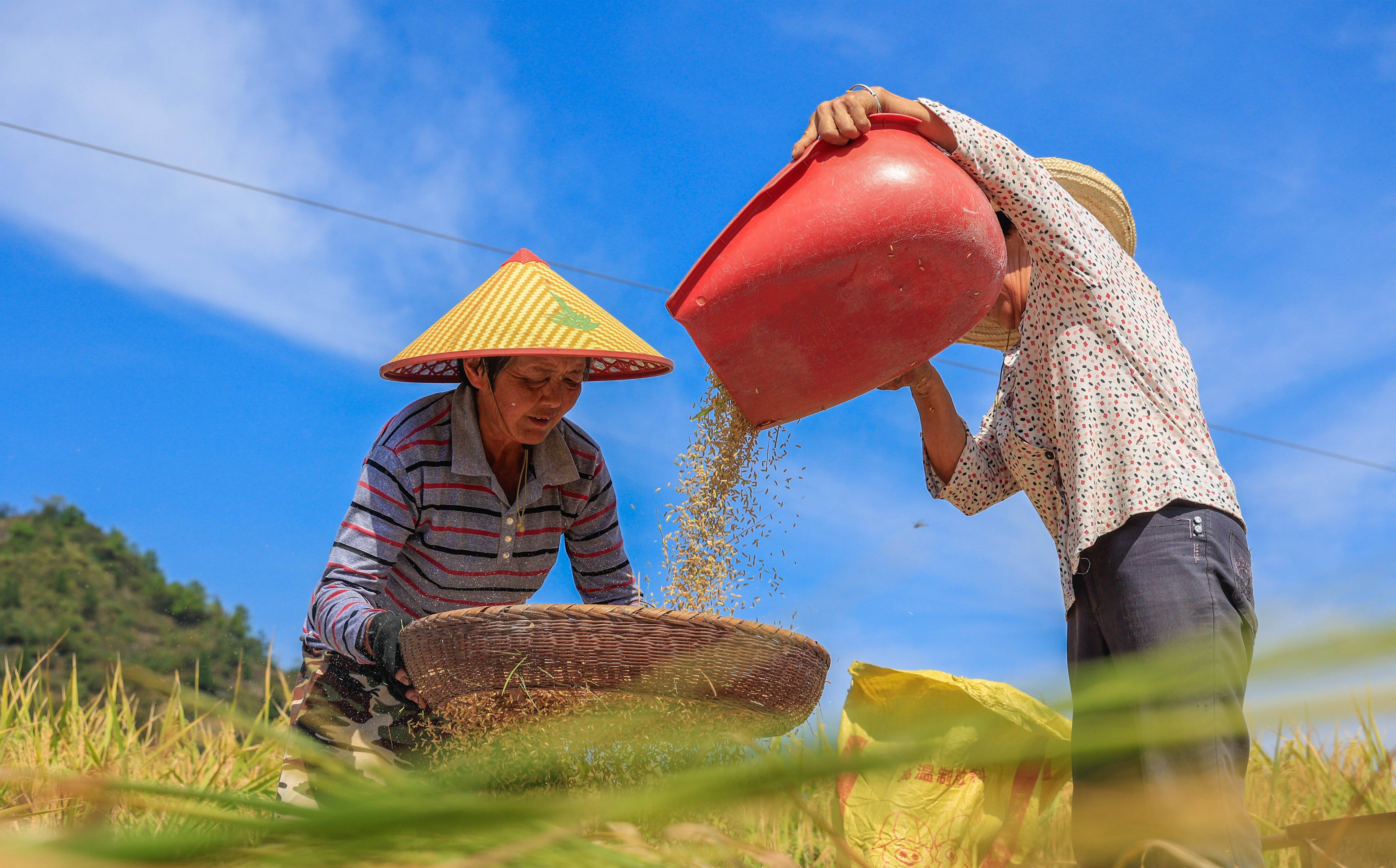 《满稻而归》	绩溪县编办