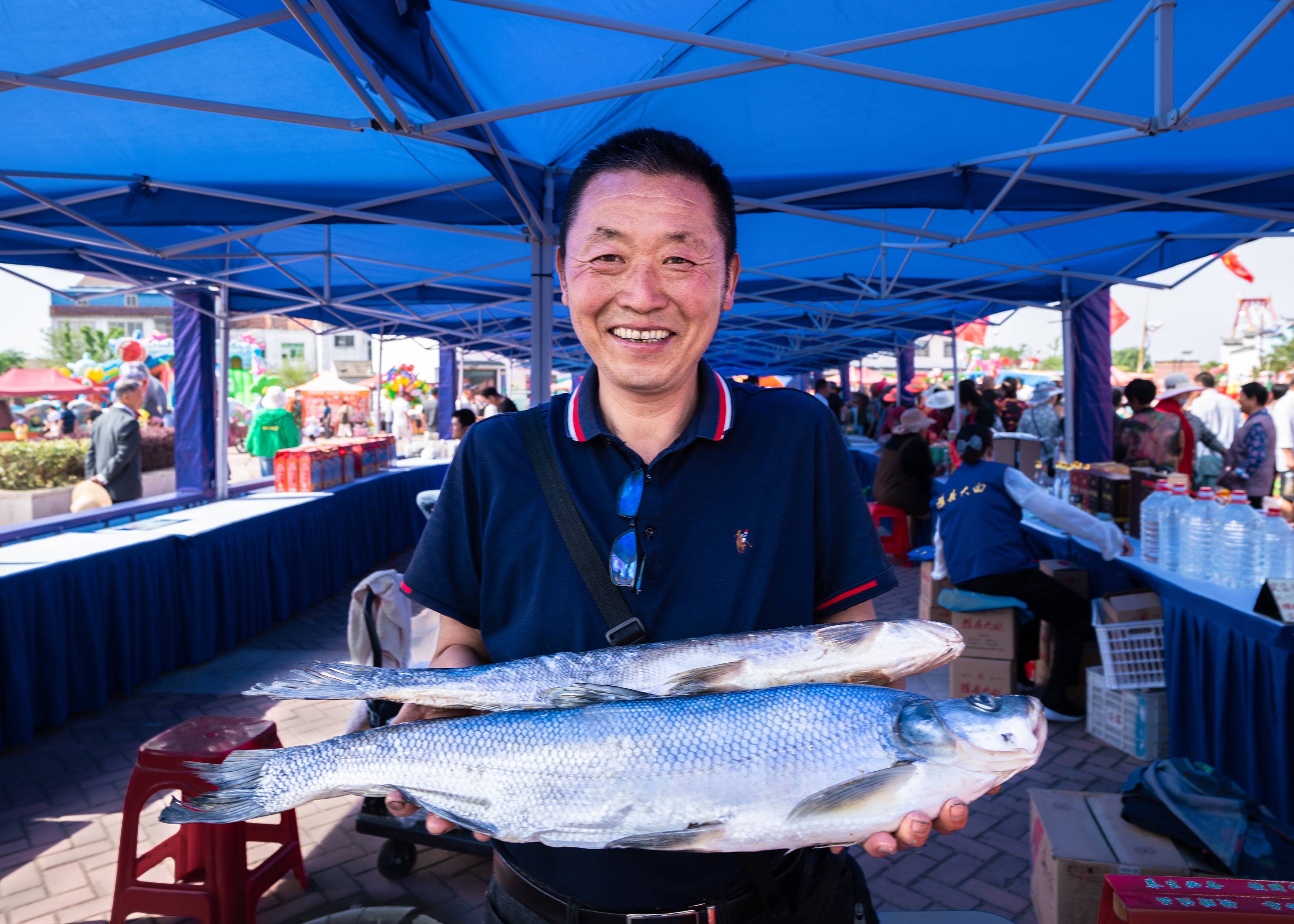 定远池河没白鱼。