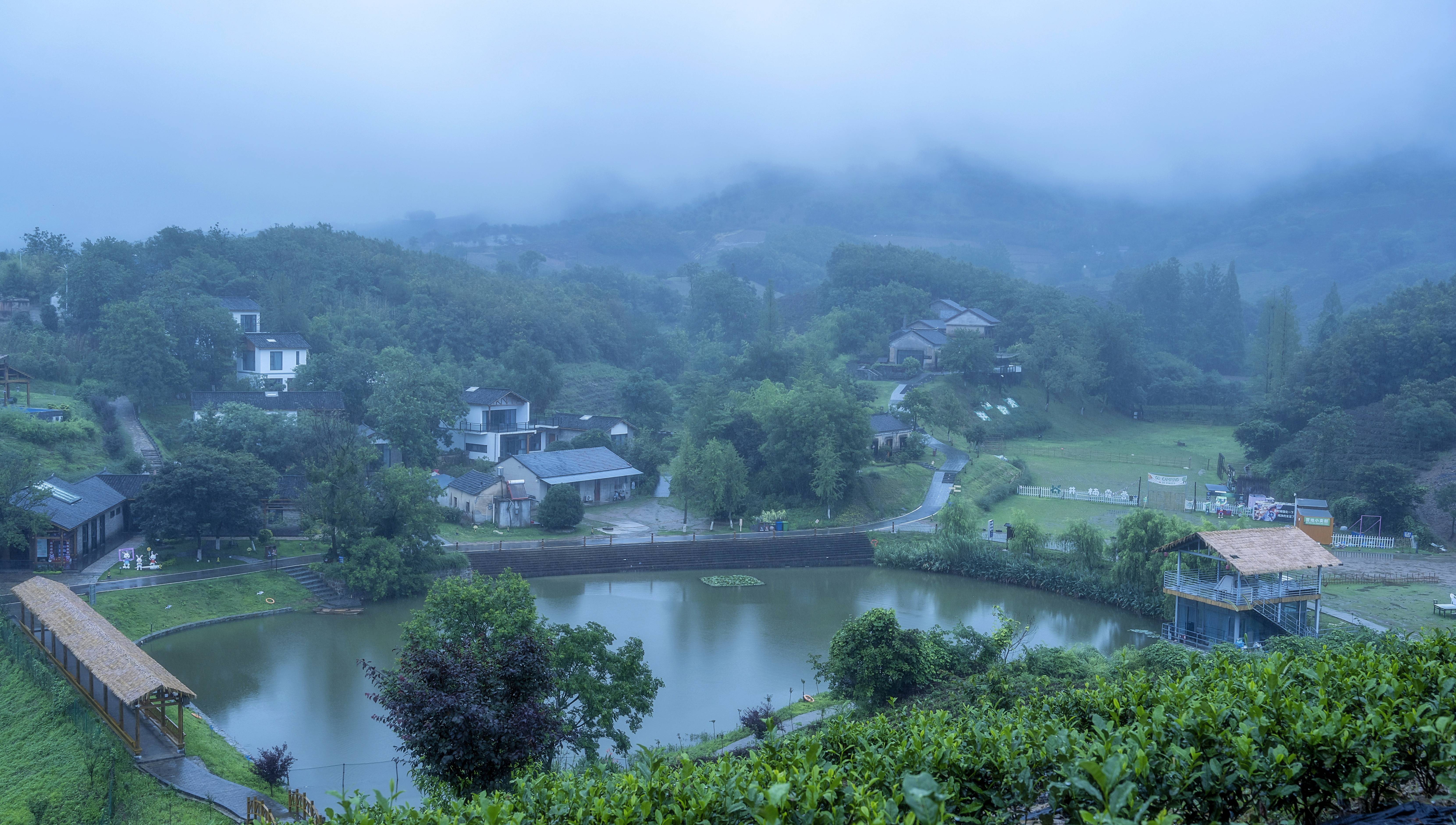 烟雨井楠